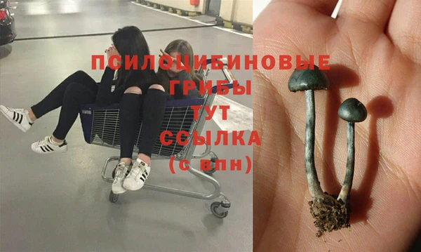 тгк Нязепетровск