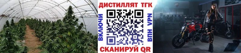наркошоп  Ардон  ТГК вейп с тгк 